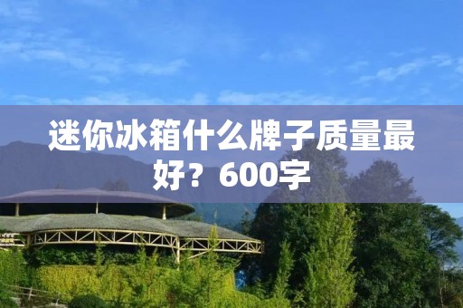 迷你冰箱什么牌子质量最好？600字