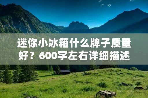 迷你小冰箱什么牌子质量好？600字左右详细描述