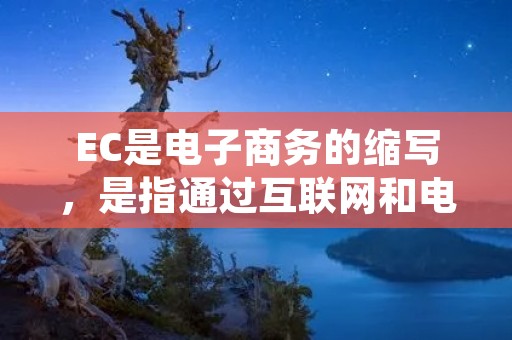 EC是电子商务的缩写,是指通过互联网和电子技术进行商业交易和活动的一种商业模式。在传统商业模式中,消费者需要亲自到实体店铺购买商品或服务,而电子商务则提供了一种更加便捷和高效的购物方式。 EC是电子商务的缩写,是指通过互联网和电子技术进行商业交易和活动的一种商业模式。在传统商业模式中,消费者需要亲自到实体店铺购买商品或服务,而电子商务则提供了一种更加便捷和高效的购物方式。
