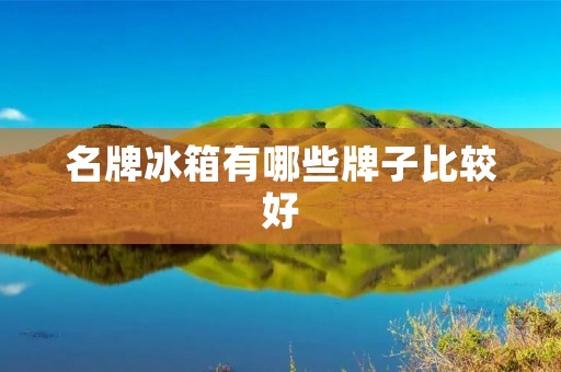 名牌冰箱有哪些牌子比较好