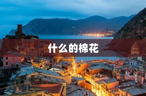 什么的棉花