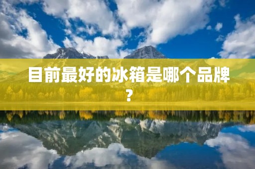 目前最好的冰箱是哪个品牌？