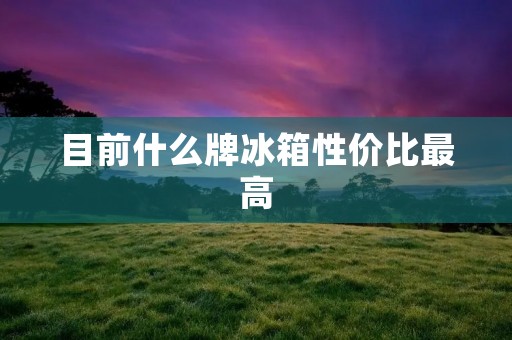 目前什么牌冰箱性价比最高