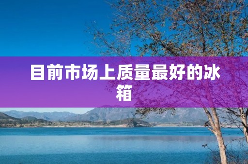 目前市场上质量最好的冰箱：为你带来全新冷藏体验