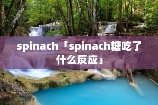 spinach「spinach糖吃了什么反应」