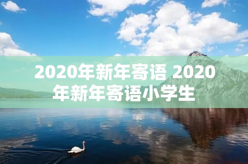 2020年新年寄语 2020年新年寄语小学生
