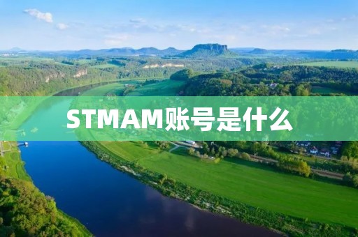 STMAM账号是什么