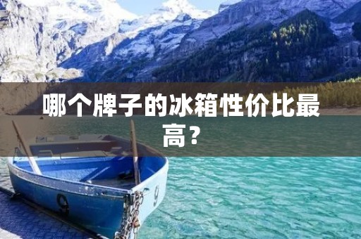 哪个牌子的冰箱性价比最高？