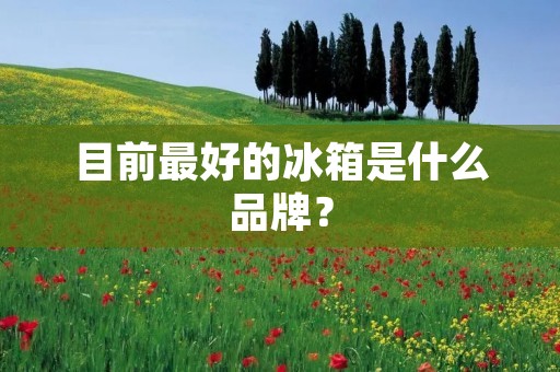目前最好的冰箱是什么品牌？