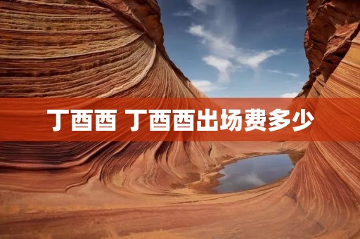 丁酉酉 丁酉酉出场费多少