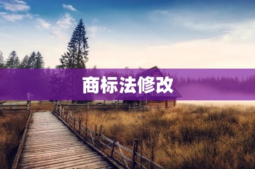 商标法修改:保护创新,促进商标发展 商标法修改:保护创新,促进商标发展