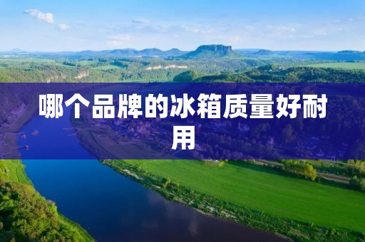 哪个品牌的冰箱质量好耐用