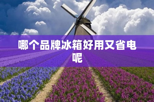 哪个品牌冰箱好用又省电呢