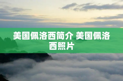 美国佩洛西简介 美国佩洛西照片 美国佩洛西简介 美国佩洛西照片