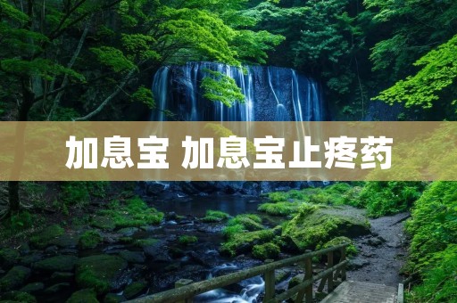 加息宝 加息宝止疼药