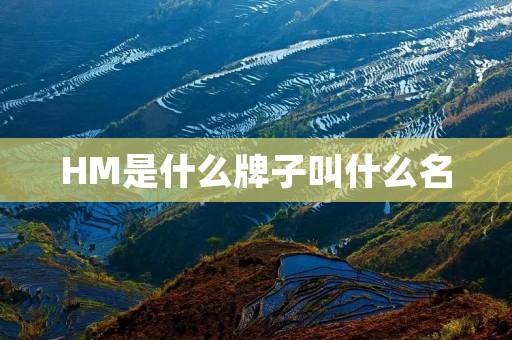 HM是什么牌子叫什么名