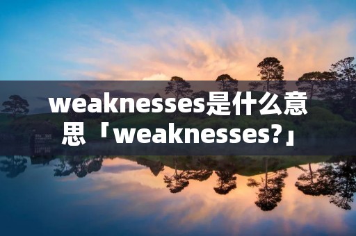 weaknesses是什么意思「weaknesses?」