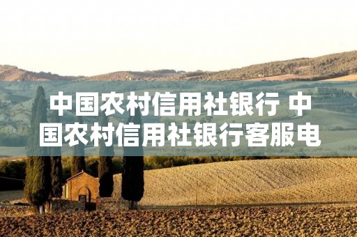 中国农村信用社** 中国农村信用社******955