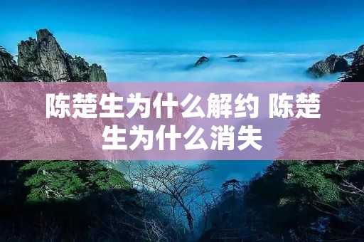 陈楚生为什么解约 陈楚生为什么消失