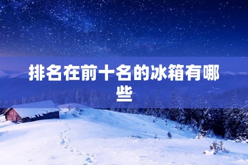 排名在前十名的冰箱有哪些