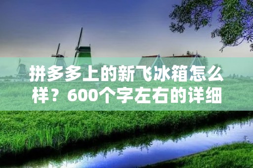 拼多多上的新飞冰箱怎么样？600个字左右的详细描述
