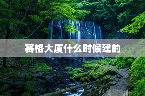 赛格大厦什么时候建的
