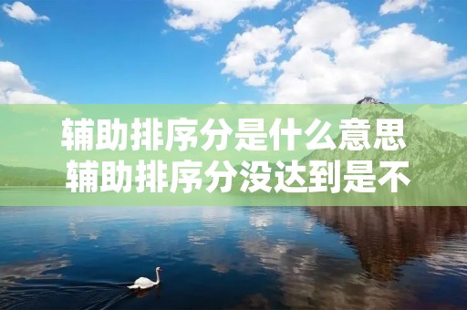 辅助排序分是什么意思 辅助排序分没达到是不是就没有的上