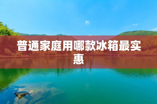 普通家庭用哪款冰箱最实惠 普通家庭用哪款冰箱最实惠