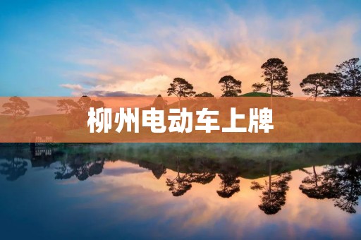 柳州电动车上牌:详解柳州电动车上牌的流程与注意事项 柳州电动车上牌:详解柳州电动车上牌的流程与注意事项