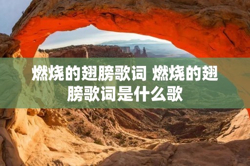 燃烧的翅膀歌词 燃烧的翅膀歌词是什么歌 燃烧的翅膀歌词 燃烧的翅膀歌词是什么歌