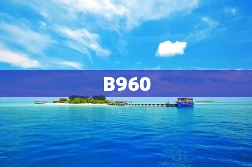 B960:一款高性能处理器的全面评估 B960:一款高性能处理器的全面评估