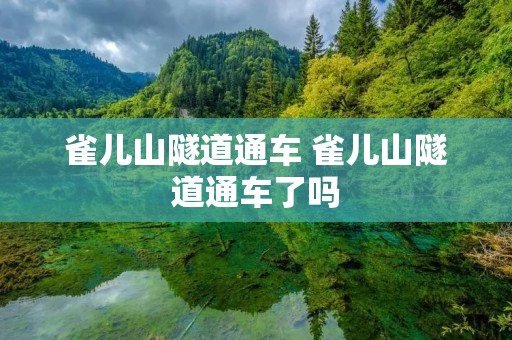 雀儿山隧道通车 雀儿山隧道通车了吗