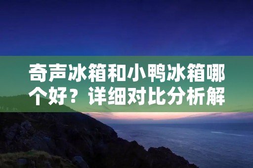 奇声冰箱和小鸭冰箱哪个好?详细对比分析解析 奇声冰箱和小鸭冰箱哪个好?详细对比分析解析