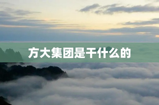 方大集团是干什么的 方大集团是干什么的