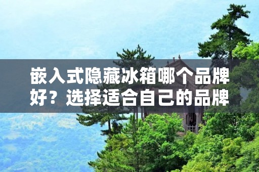 嵌入式隐藏冰箱哪个品牌好？选择适合自己的品牌