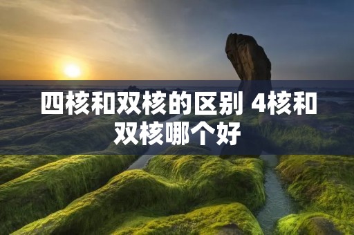 四核和双核的区别 4核和双核哪个好 四核和双核的区别 4核和双核哪个好