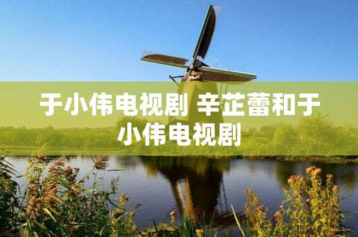 于小伟电视剧 辛芷蕾和于小伟电视剧