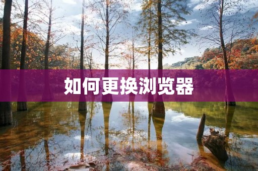 如何更换浏览器