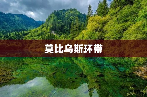 莫比乌斯环带：探索无限可能的奇妙结构