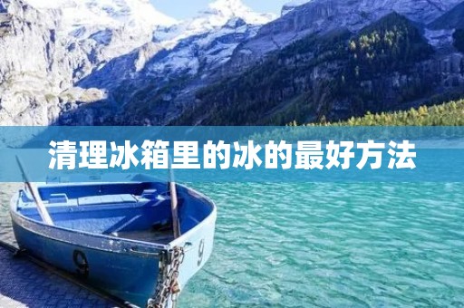 清理冰箱里的冰的最好方法 清理冰箱里的冰的最好方法