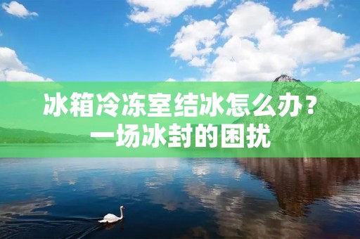 冰箱冷冻室结冰怎么办？一场冰封的困扰