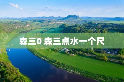 森三0 森三点水一个尺