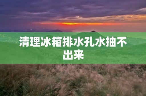 清理冰箱排水孔水抽不出来:如何解决冰箱排水孔堵塞的问题 清理冰箱排水孔水抽不出来:如何解决冰箱排水孔堵塞的问题
