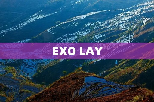 EXO LAY:从音乐才华到全能艺人的华丽转身 EXO LAY:从音乐才华到全能艺人的华丽转身