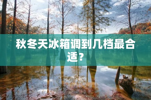 秋冬天冰箱调到几档最合适? 秋冬天冰箱调到几档最合适?