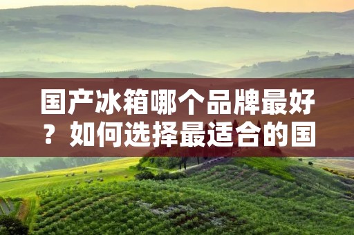 国产冰箱哪个品牌最好?如何选择最适合的国产冰箱? 国产冰箱哪个品牌最好?如何选择最适合的国产冰箱?