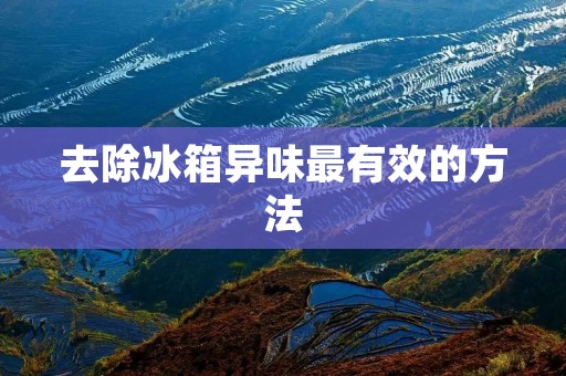 去除冰箱异味最有效的方法 去除冰箱异味最有效的方法