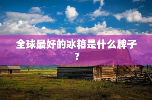 全球最好的冰箱是什么牌子？