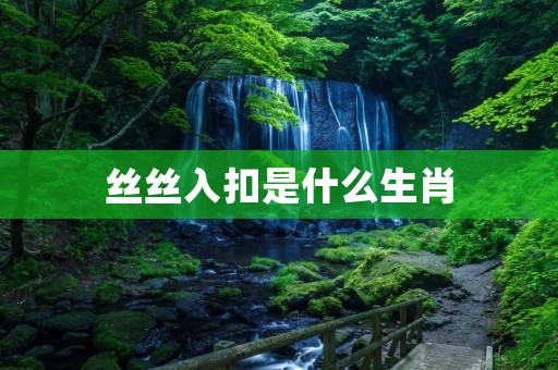 丝丝入扣是什么生肖
