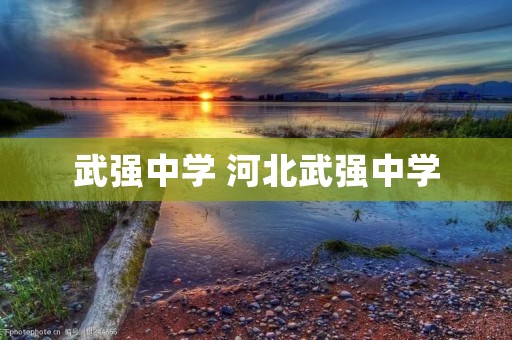 武强中学 河北武强中学 武强中学 河北武强中学